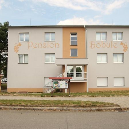 Penzion Bobule Stare Mesto  Extérieur photo