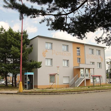 Penzion Bobule Stare Mesto  Extérieur photo