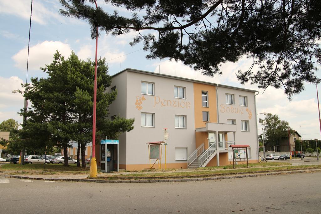 Penzion Bobule Stare Mesto  Extérieur photo